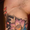 Mikes Koi 1/2 sleeve