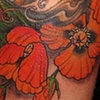 Poppys and Lady