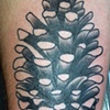 Pinecone
