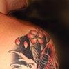 Mikes Koi 1/2 sleeve