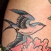 Swallows and peonies