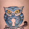 Blue owl
