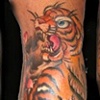 tiger 1/2 sleeve