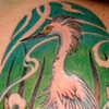 Egret
