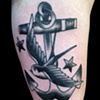 Anchor Swallow