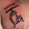 Missie's possum