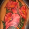 lilies