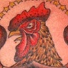Rooster!