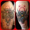 Owl Rework
