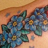 Forget me nots, hollyhocks, lilacs