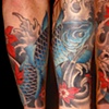 Blue Koi