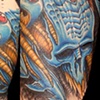 Biomech sleeve after