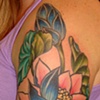 Big lotuses