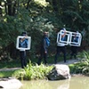 Dandy Gangs: The Stallones at Kariya Park,