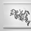 A group of repeated forms 
