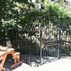 Rod Iron Fence and Arbor