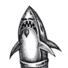 Sharkstache