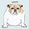 Bulls*#"?t