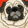 Island Pug