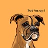 Boxer