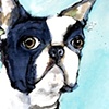 Blue Dog