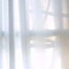 Curtain
