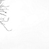 Sky, Black and white