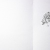 "Tree"