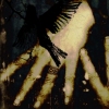 Illustration :: Wax Encaustic :: Bird