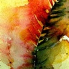 Painting :: Mixed Media :: Flora Series
