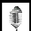 Feather_five