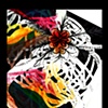 Dragonfly_one