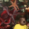 Photography :: Scripps Ranch Aquarium ::Whoa