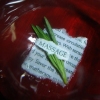 Product Development ::  Photography :: Massage Oils Promo