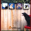 San Diego Humane Society :: Dog Digs and Cat Cribs :: Promo