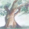 Illustration :: Watercolor ::Trees n Grass