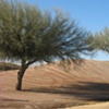 PHX Open
