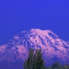 Mt. Rainer
