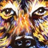 San Diego Humane Society :: Dog Digs and Cat Cribs :: Shepard Purple