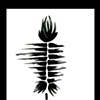 Feather_two
