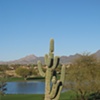 PHX Open