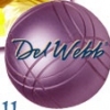 Del Webb :: Britton Falls  Community Newsletter :: Email Marketing