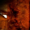 Illustration :: Mixed  Media :: Paper Keven