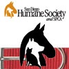 San Diego Humane Society :: Dog Digs and Cat Cribs