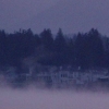 Misty Lake