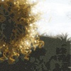 Mixed Bag ::