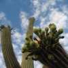 Photography :: Arizona