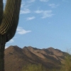 Photography :: Arizona :: Cactus Tim