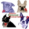 Christmas Cards :: Merry Dogone Christmas!