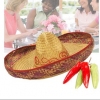 Del Webb :: Grand Reserve :: A Fiesta!